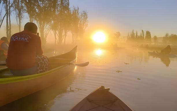 Kayaking at sunrise in Xochimilco canals with mist and trees in the background.