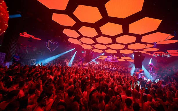 Crowd enjoying a vibrant night at Pure Pacha Ibiza with illuminated hexagon ceiling.