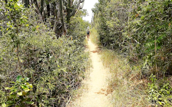 Hiker on a narrow trail through dense vegetation in Búzios, Rio de Janeiro.