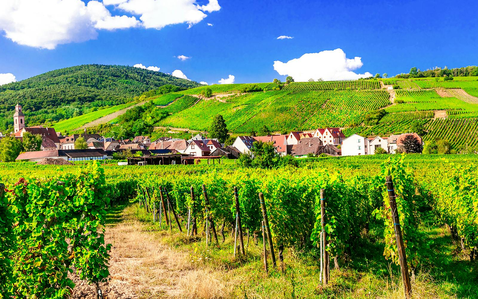 Riquewihr village with vineyards and hills in the background.