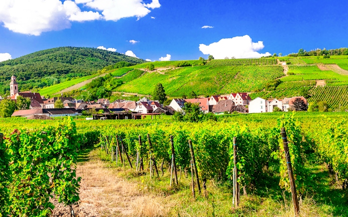 Riquewihr village with vineyards and hills in the background.