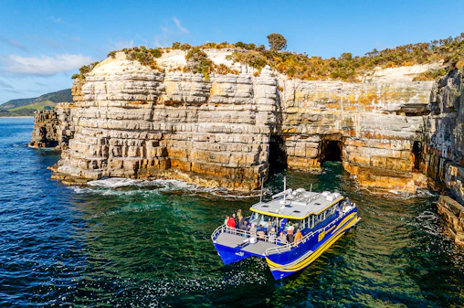 Cape Raoul Wilderness Cruise from Port Arthur