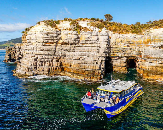 Cape Raoul Wilderness Cruise from Port Arthur