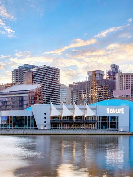 SEA LIFE Melbourne Aquarium exterior by the river with city skyline.