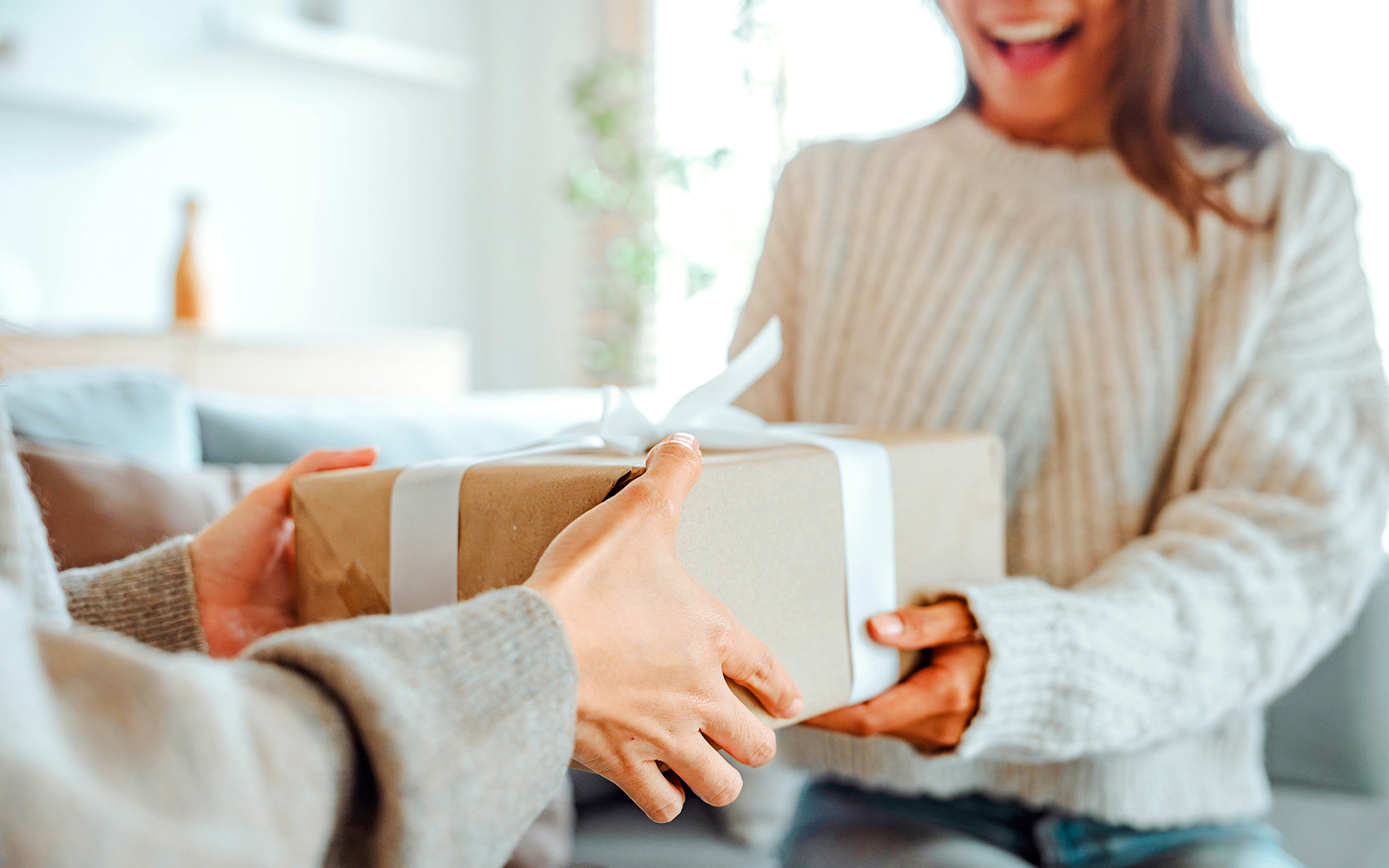 Heist at the Louvre Museum