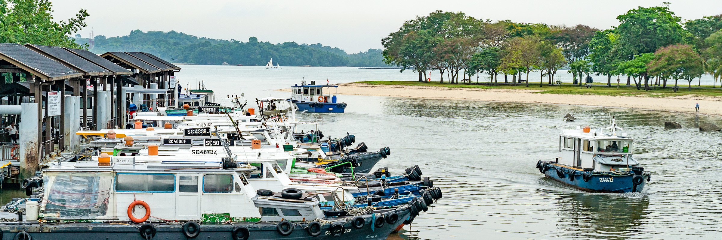 Cyclists exploring lush trails on Pulau Ubin, Singapore, during a guided tour.