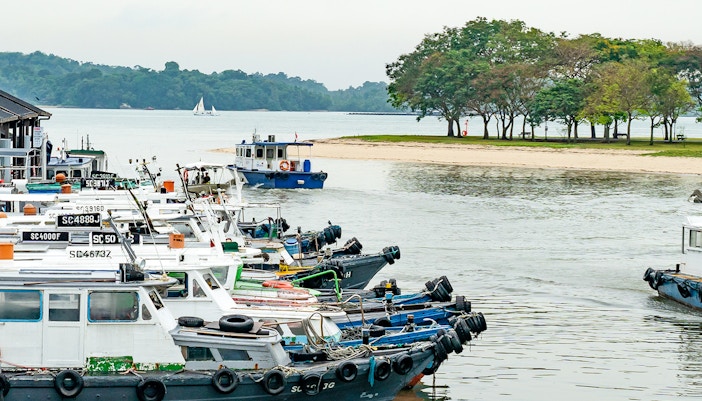 Cyclists exploring lush trails on Pulau Ubin, Singapore, during a guided tour.