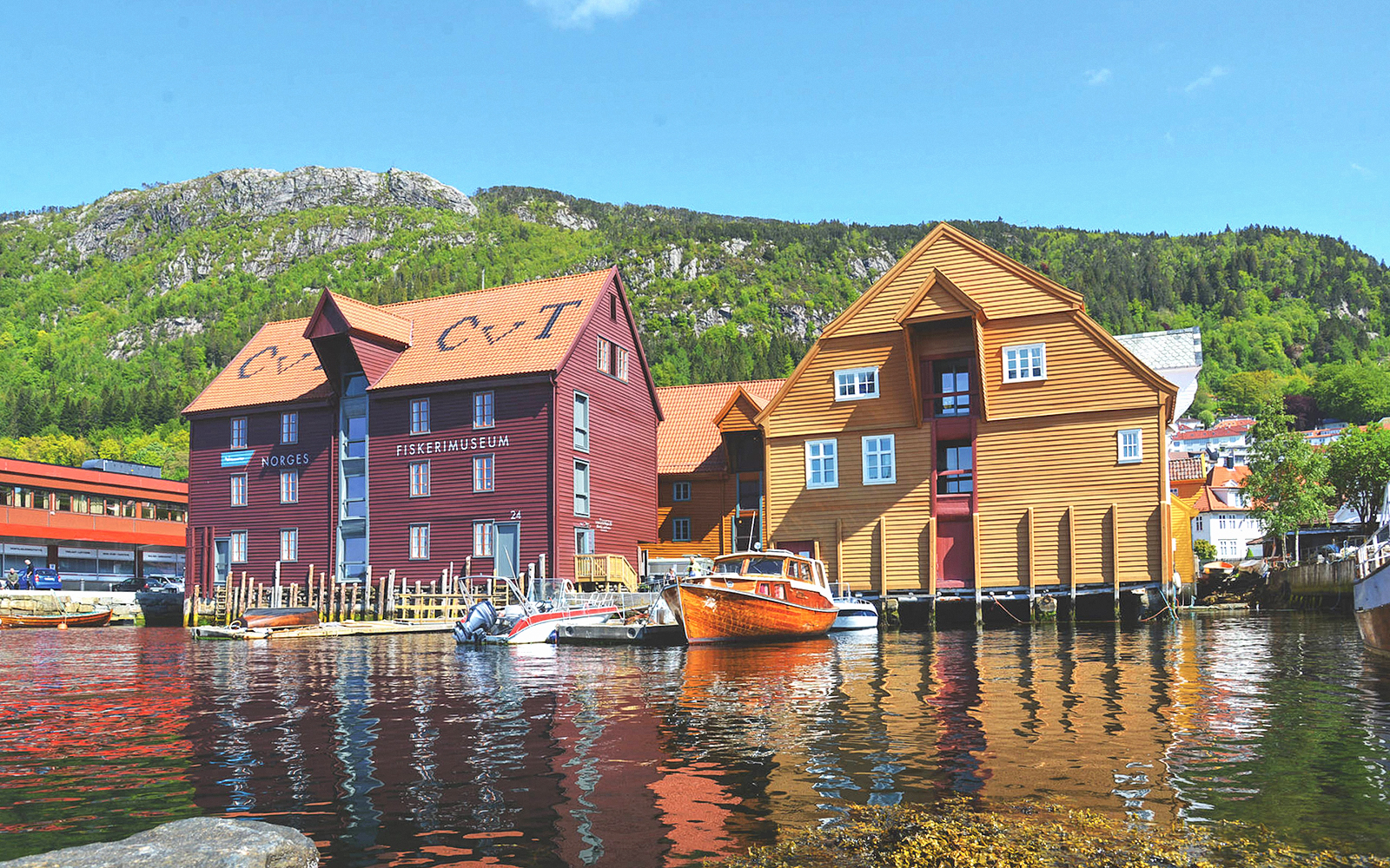 Bergen harbor with historic wooden buildings and boats, seen on a sightseeing cruise.