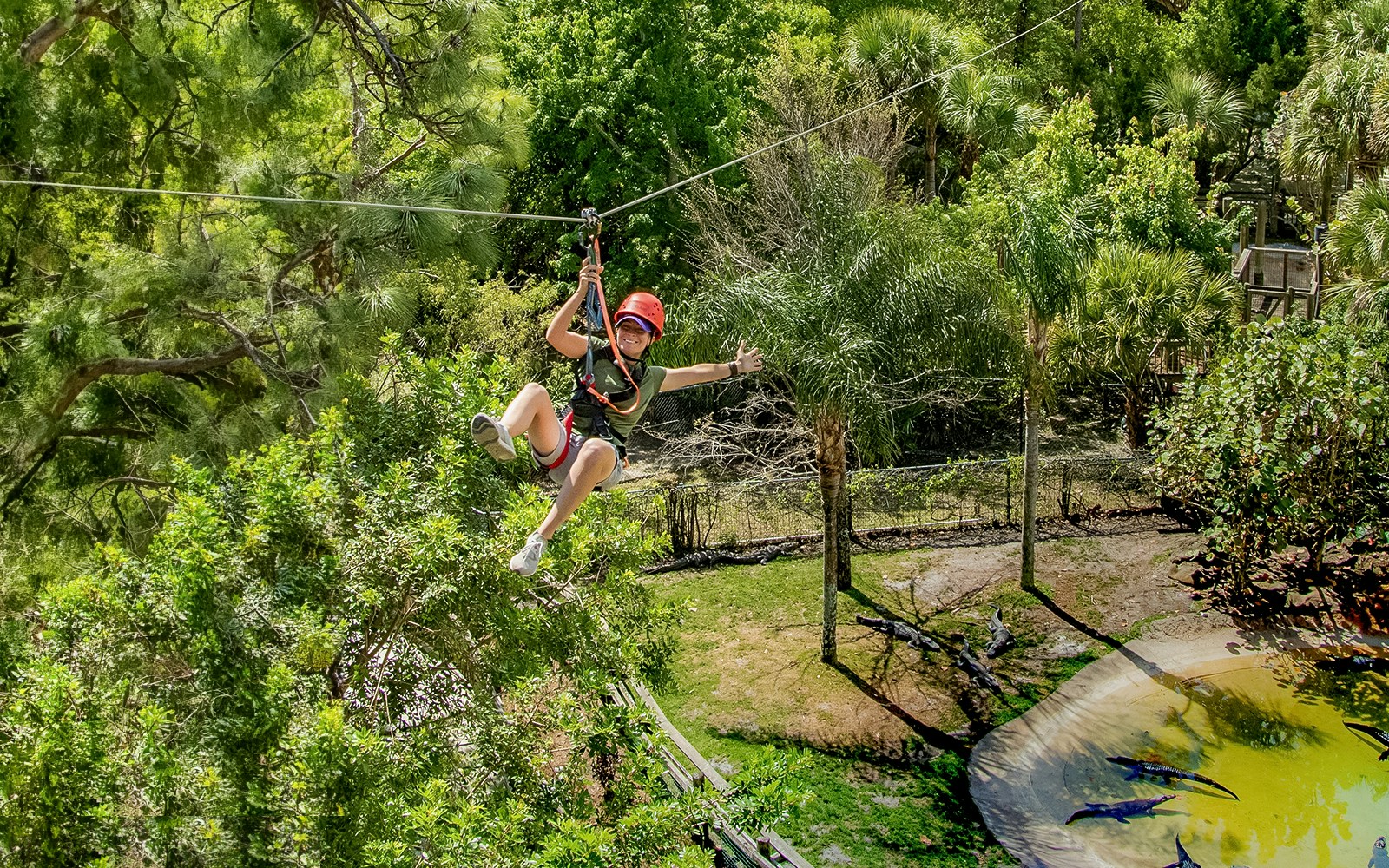 Screamin' Gator Zip Line