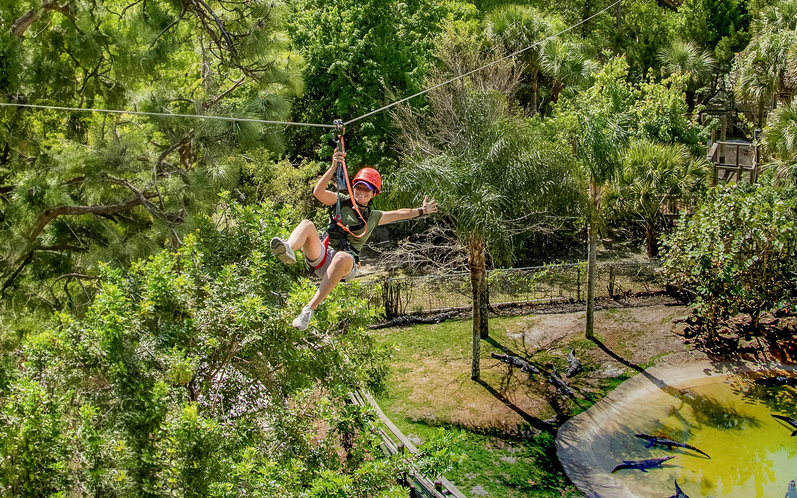 Screamin' Gator Zip Line