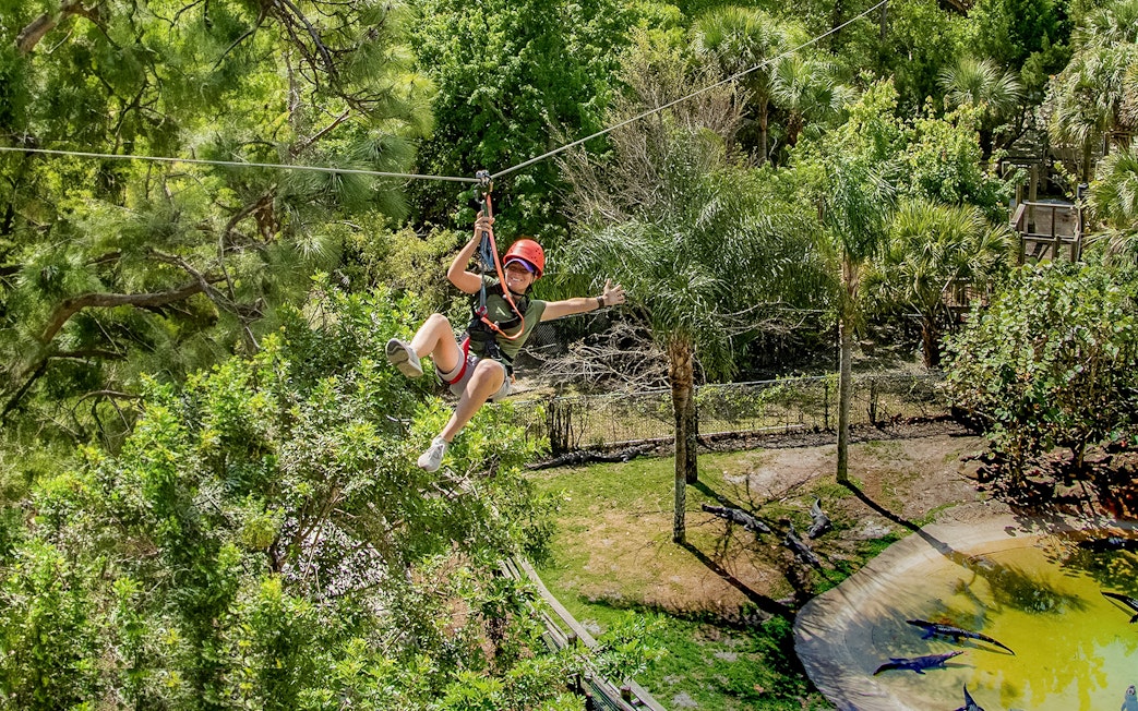 Tourist zip lining over alligator habitat at Gatorland, Florida.