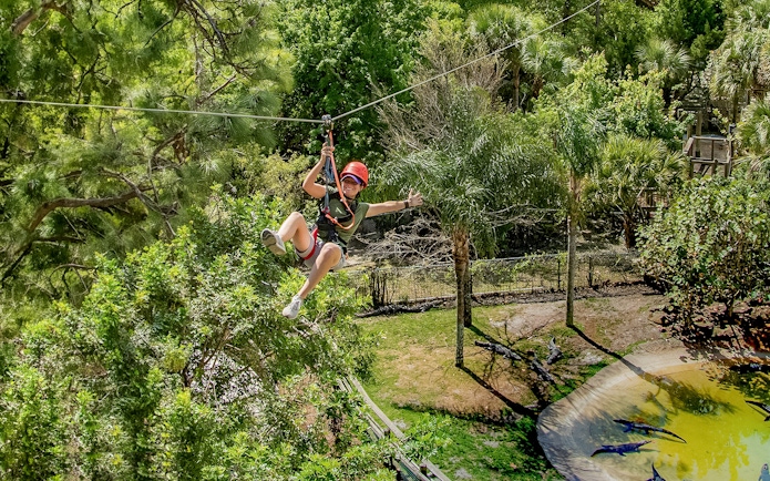 Tourist zip lining over alligator habitat at Gatorland, Florida.