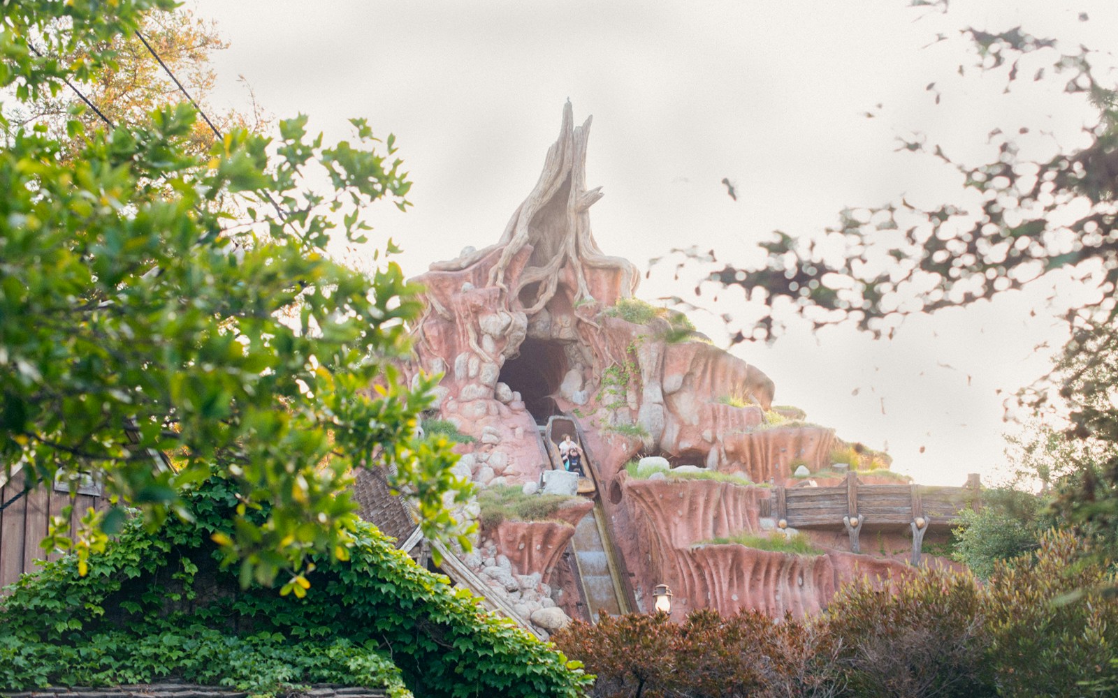 Splash Mountain Disneyland Tokyo