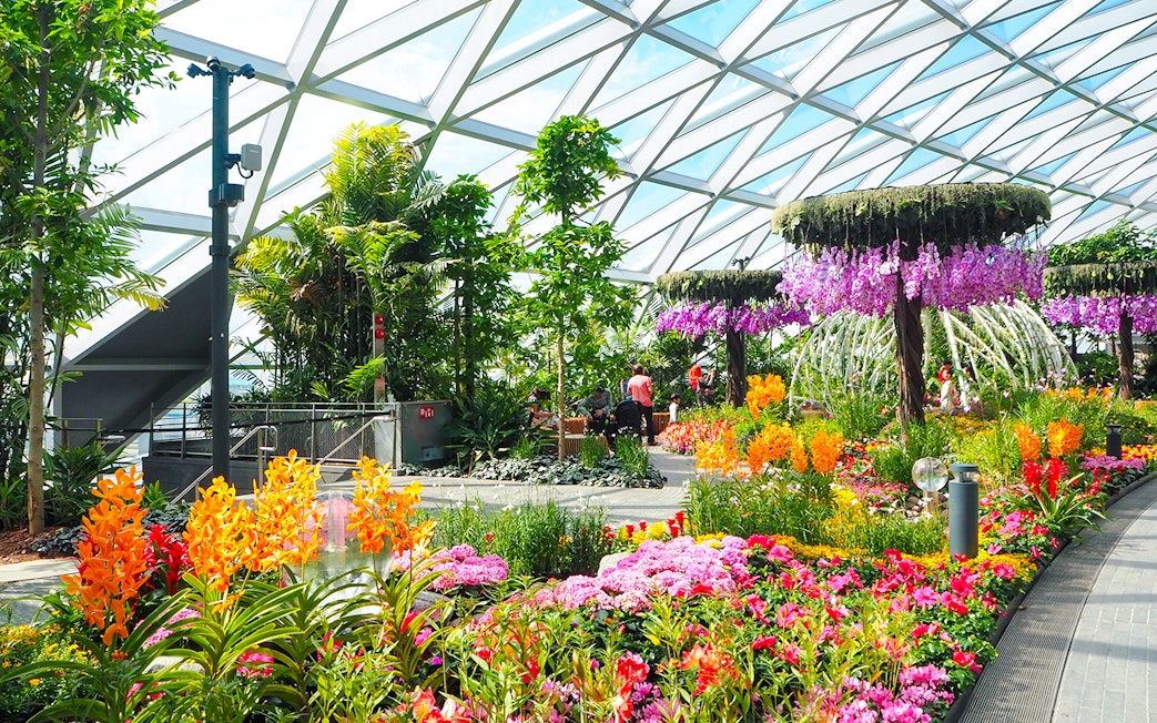Petal Garden at Canopy Park, Jewel Changi, featuring vibrant flowers and lush greenery.