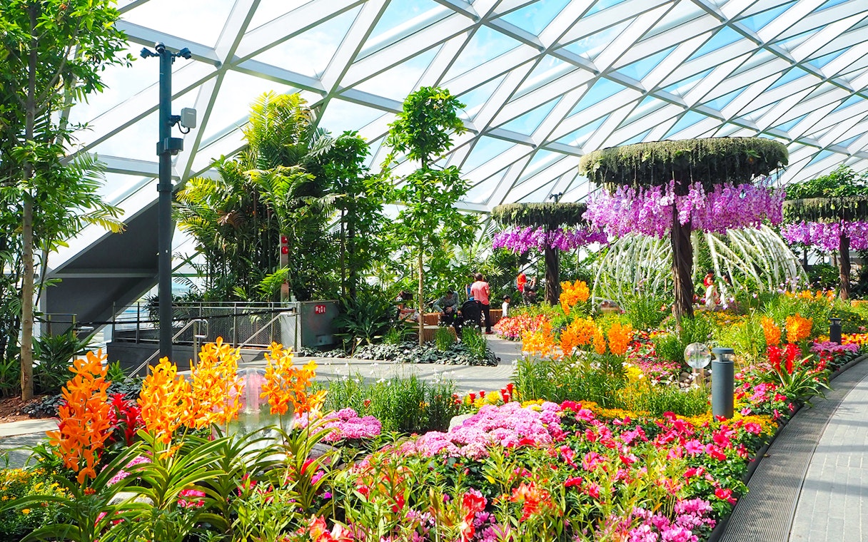 Petal Garden at Canopy Park, Jewel Changi, featuring vibrant flowers and lush greenery.