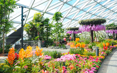 Petal Garden at Canopy Park, Jewel Changi, featuring vibrant flowers and lush greenery.