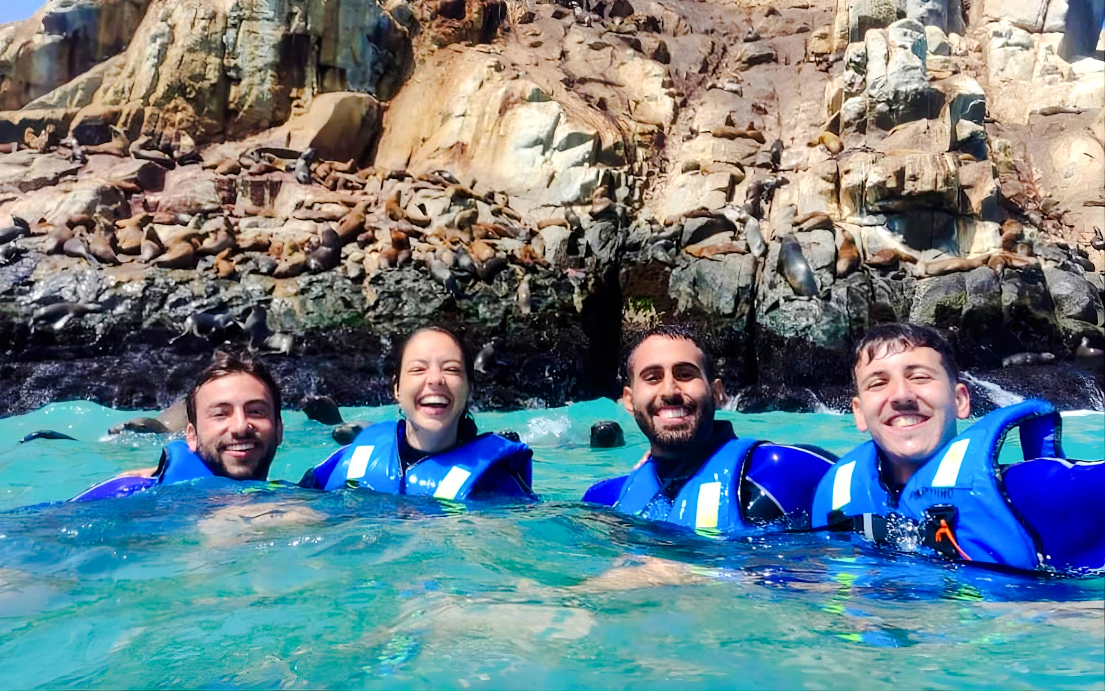 From Lima: Palomino Islands Cruise with Sea Lion Swim