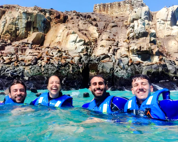 From Lima: Palomino Islands Cruise with Sea Lion Swim