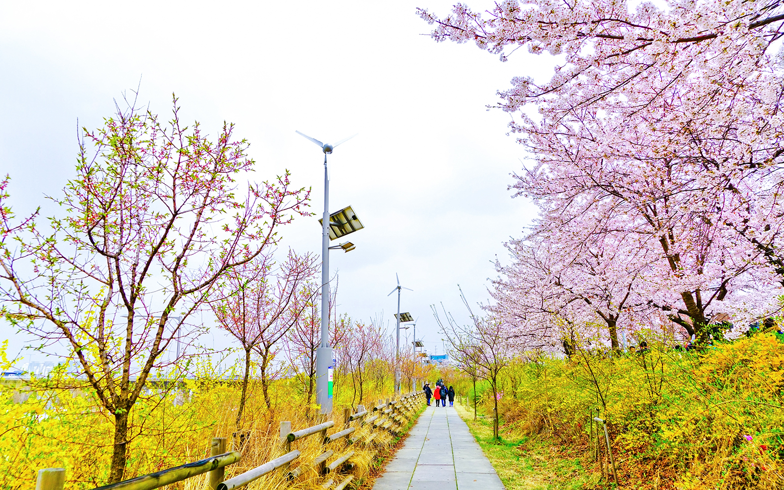 Yeouido Hangang Park