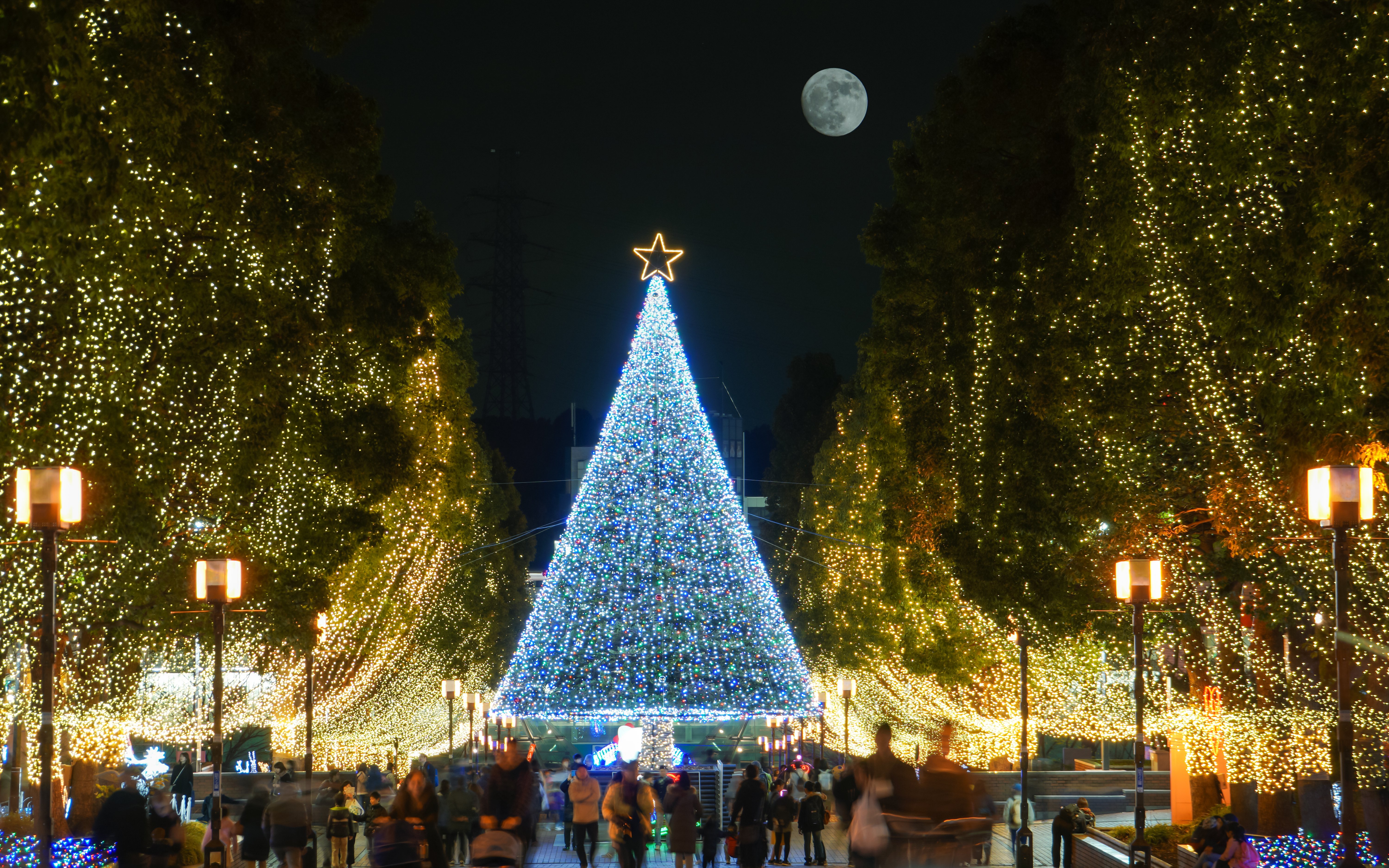 Tokyo Christmas tree illuminated at night with festive lights and a full moon in the background.