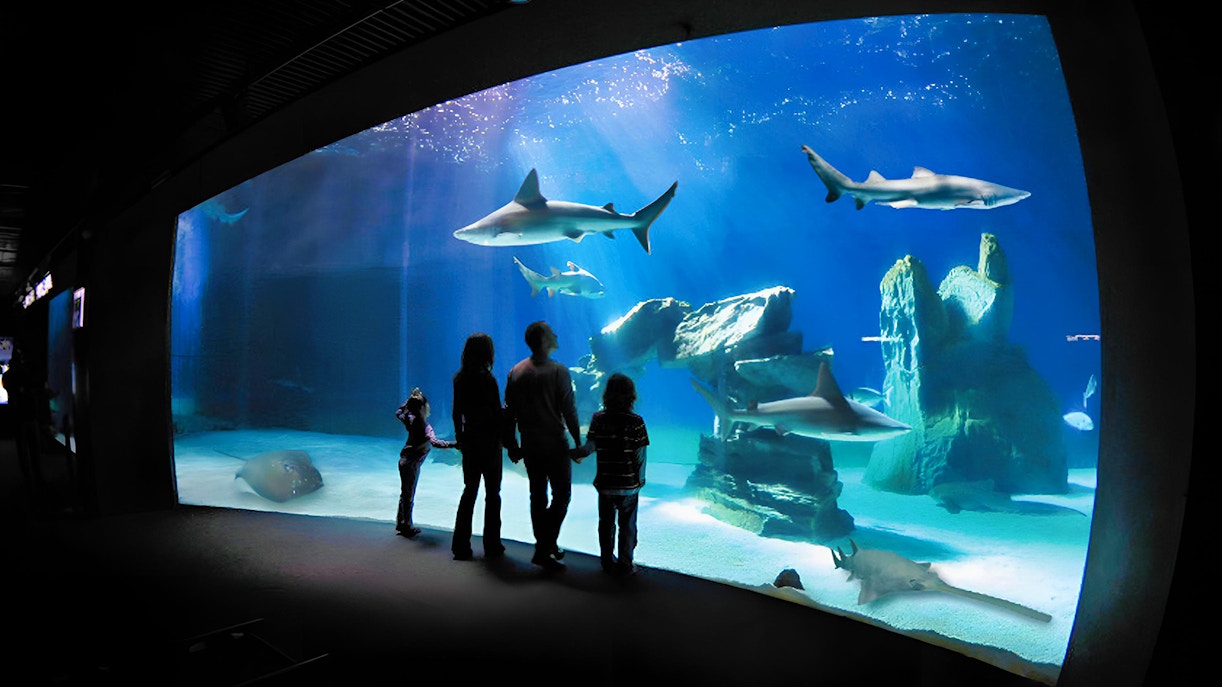 Genoa Aquarium