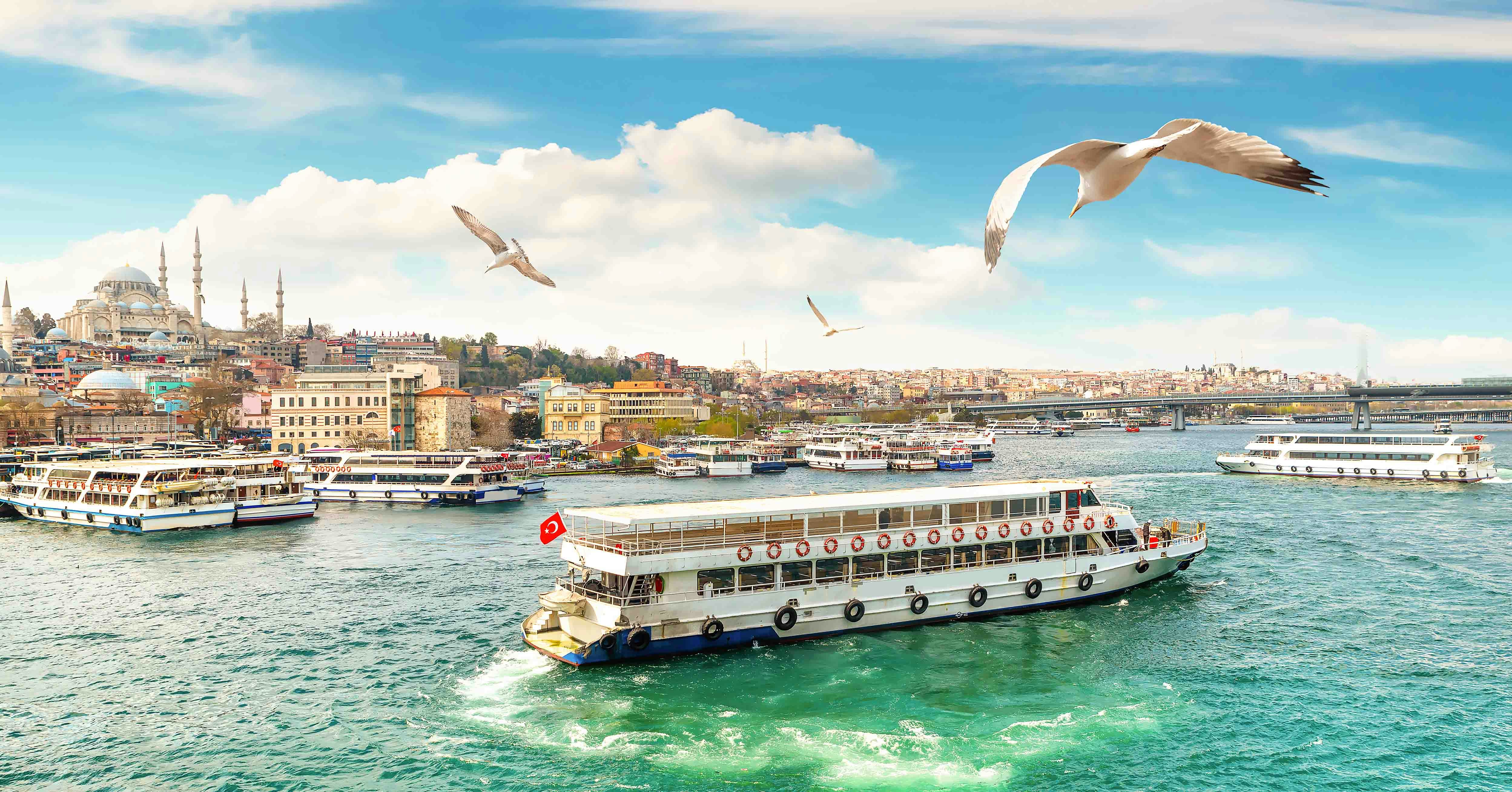 Boat tour on the Bosphorus in Istanbul with cityscape and seagulls in view.