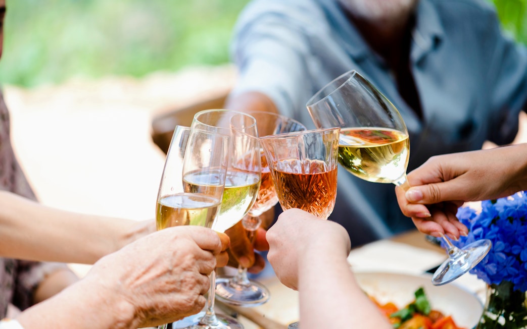 People toasting with wine glasses at an outdoor gathering.