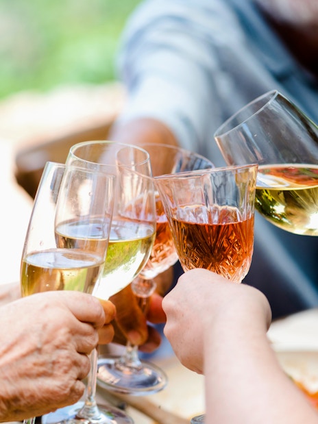 People toasting with wine glasses at an outdoor gathering.