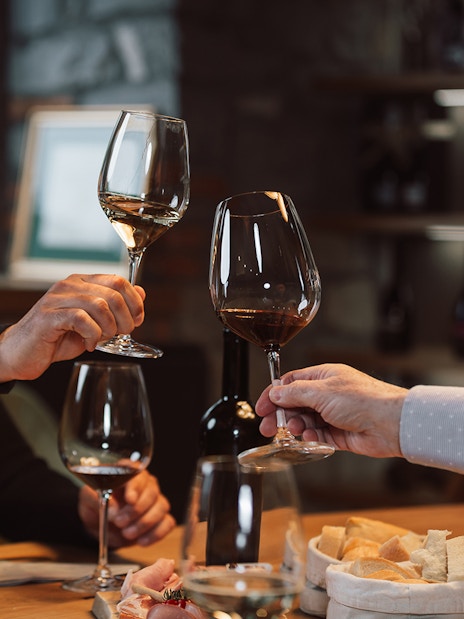 Wine tasting group toasting with glasses in a cozy cellar setting.