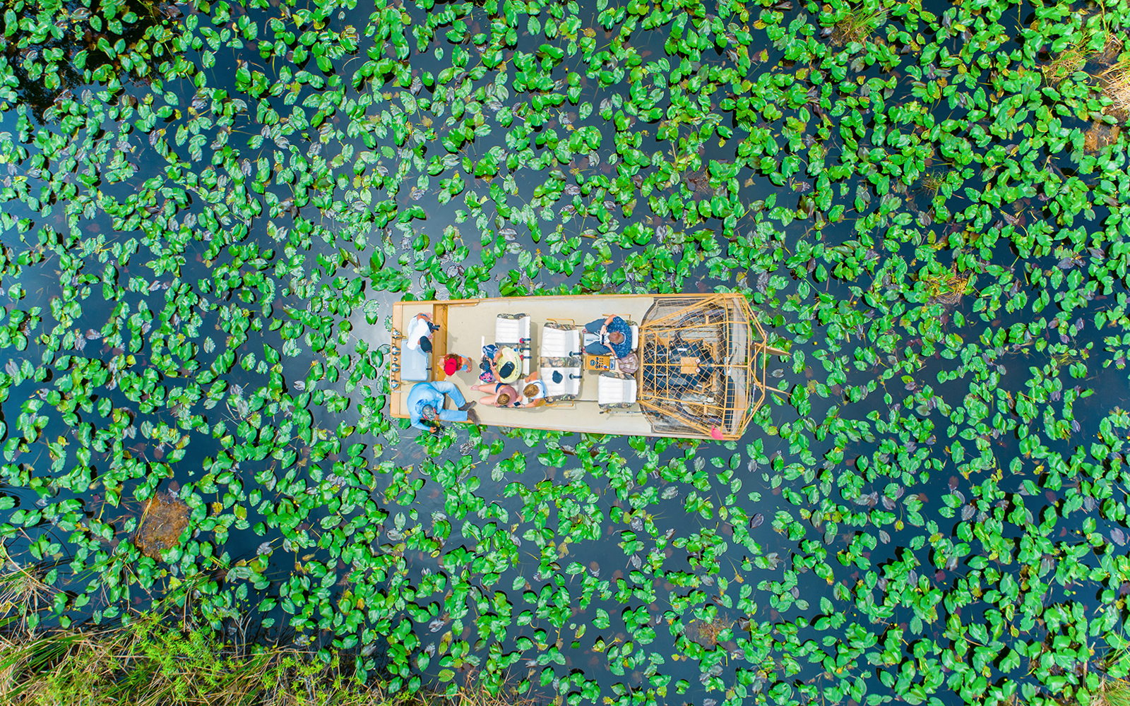 Airboat navigating through lily pads in Everglades National Park.