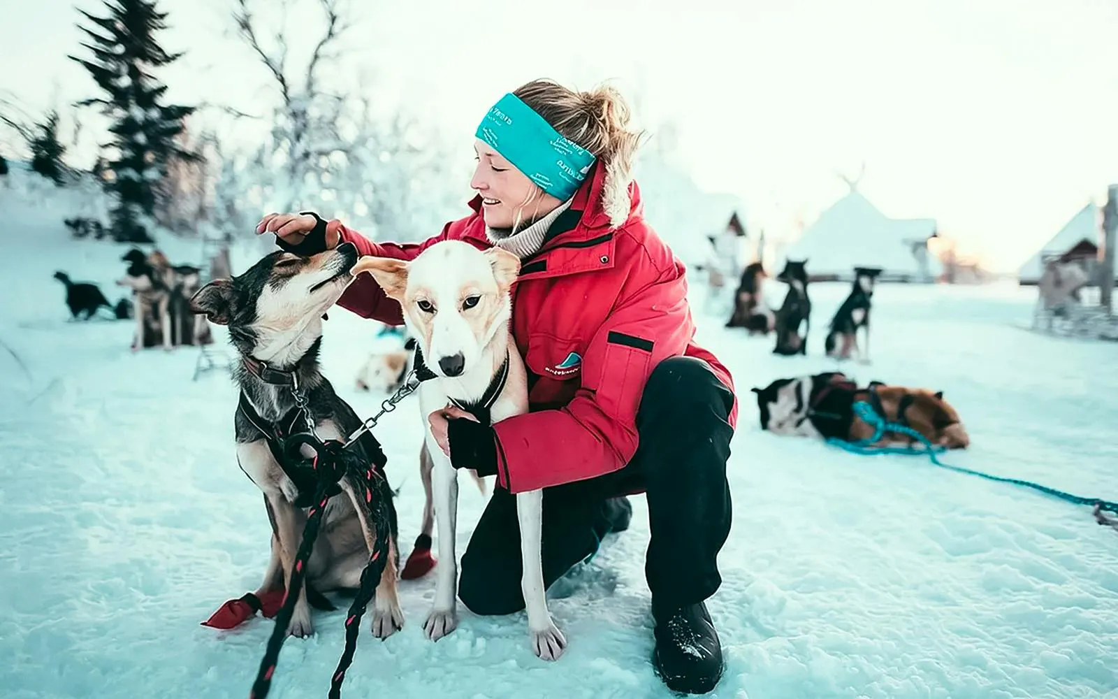 Guests interacting with huskies during self-drive sledding tour in snowy Tromso.