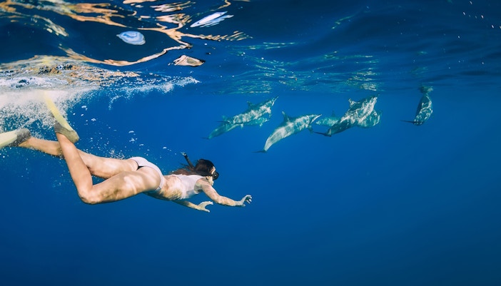 Young woman snorkeling with dolphins in clear waters of Tenerife.