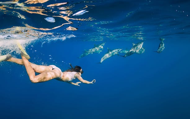 Young woman snorkeling with dolphins in clear waters of Tenerife.
