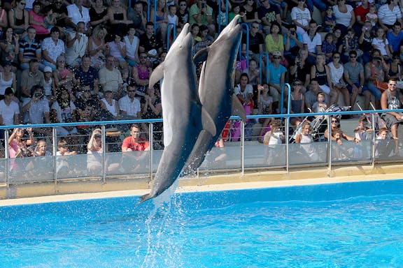 skip-the-line tickets to marineland of antibes-1