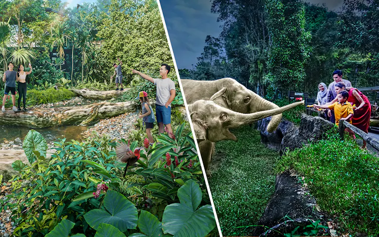 2-Park Combo: Night Safari + Rainforest Wild ASIA Tickets | Headout
