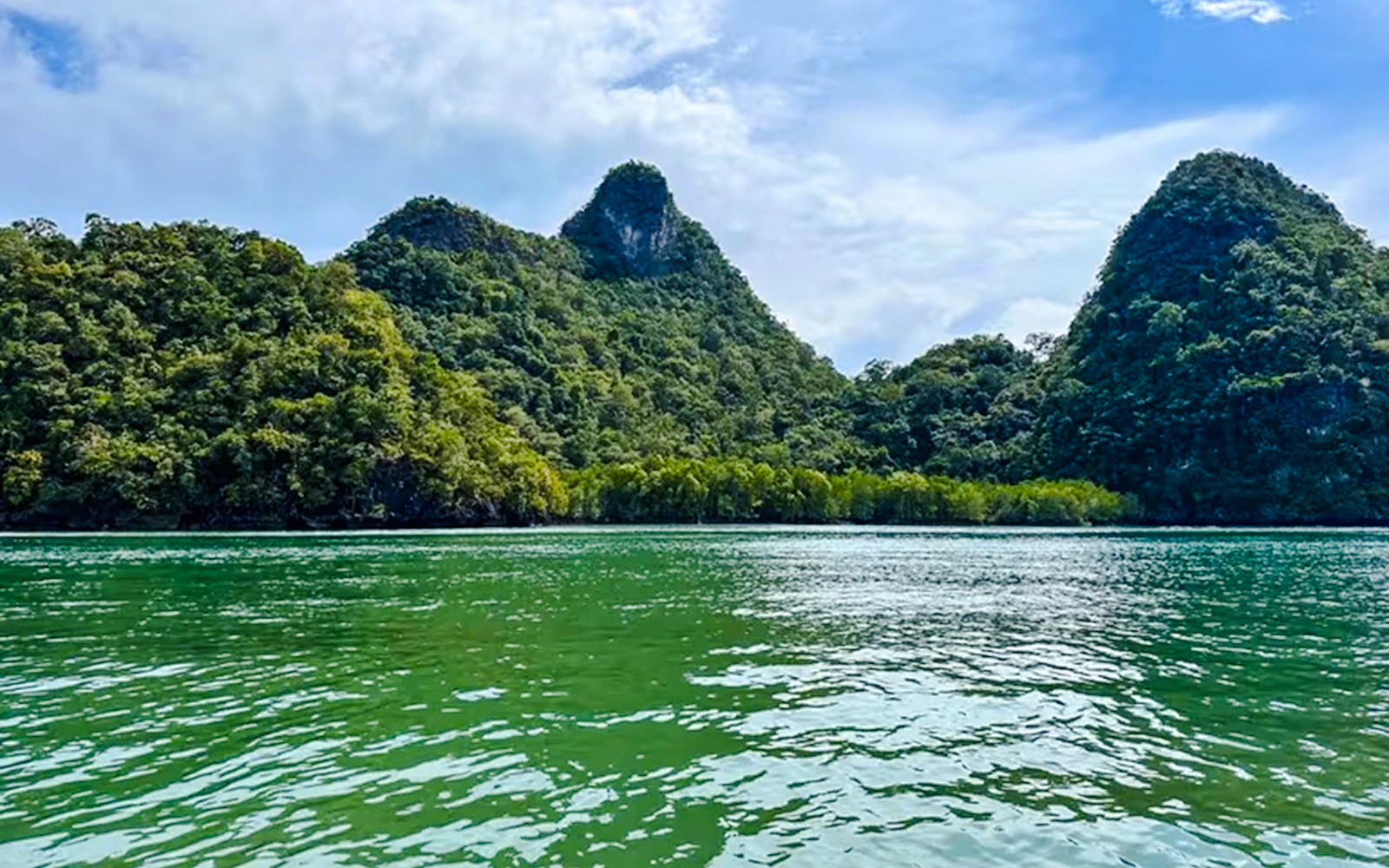 Langkawi Kilim Geoforest Park Mangrove & Island-Hopping Private Boat Tour With Snorkeling Image 5