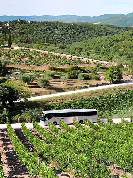 Bus traveling through Chianti vineyards during Florence wine tour.