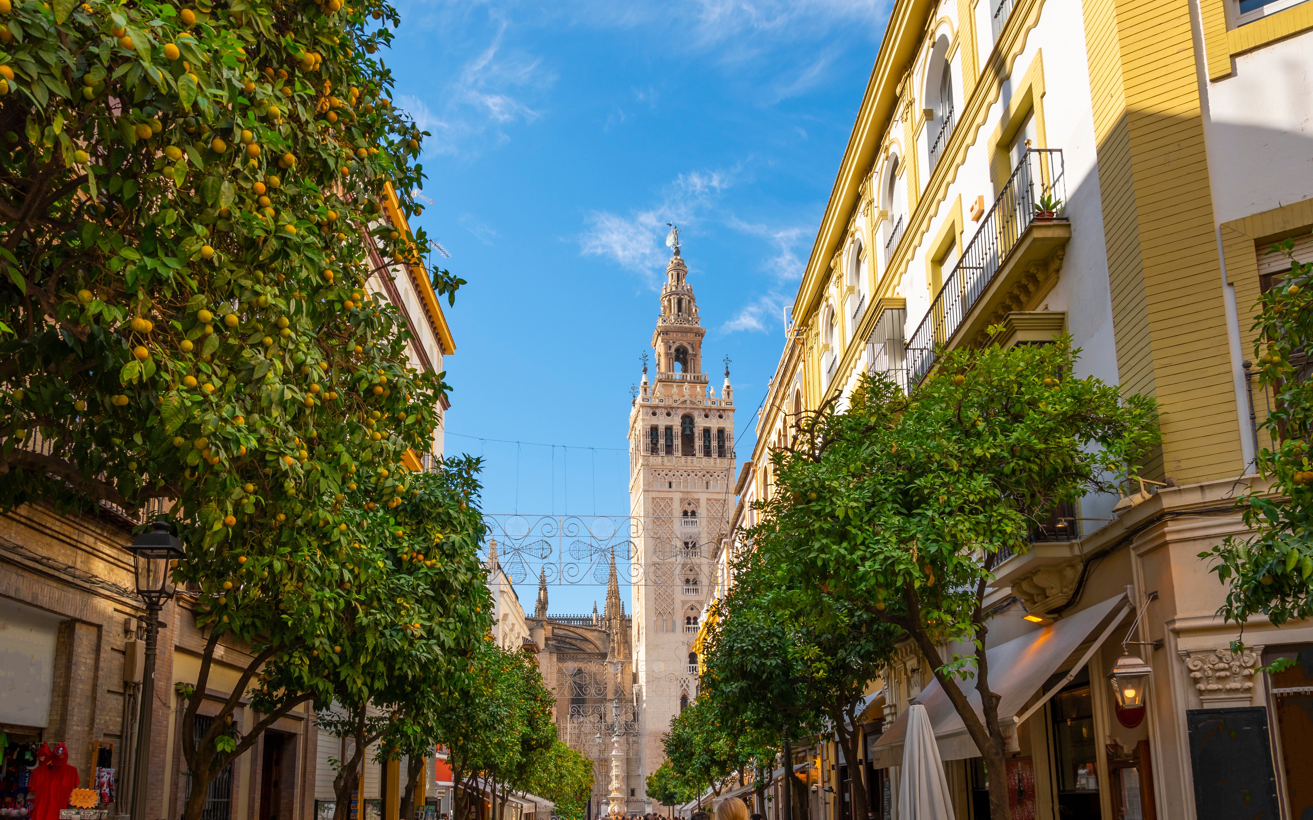 Orange trees lining a street in Seville, Spain, with the Giralda Tower and cathedral in the background.