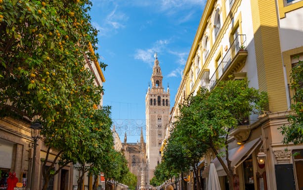 Orange trees lining a street in Seville, Spain, with the Giralda Tower and cathedral in the background.