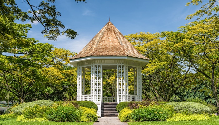 Visitors exploring the lush greenery of the Singapore Botanic Gardens on a sunny day, a popular day trip tour in Singapore