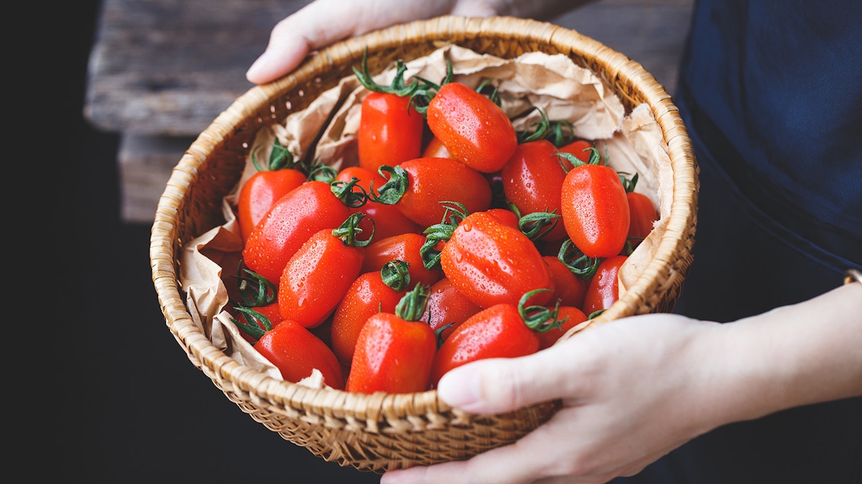 San Marzano tomatoes on a vine in a sunlit Italian garden.