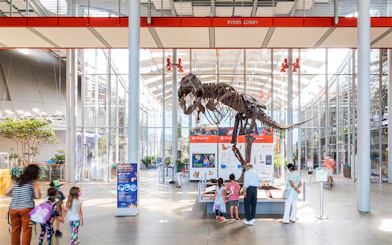 T-Rex skeleton display in the lobby of the California Academy of Sciences.