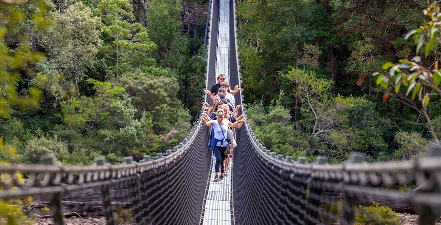 Tahune Airwalk & Peșterile Hastings