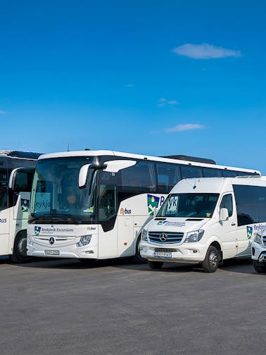 Flybus