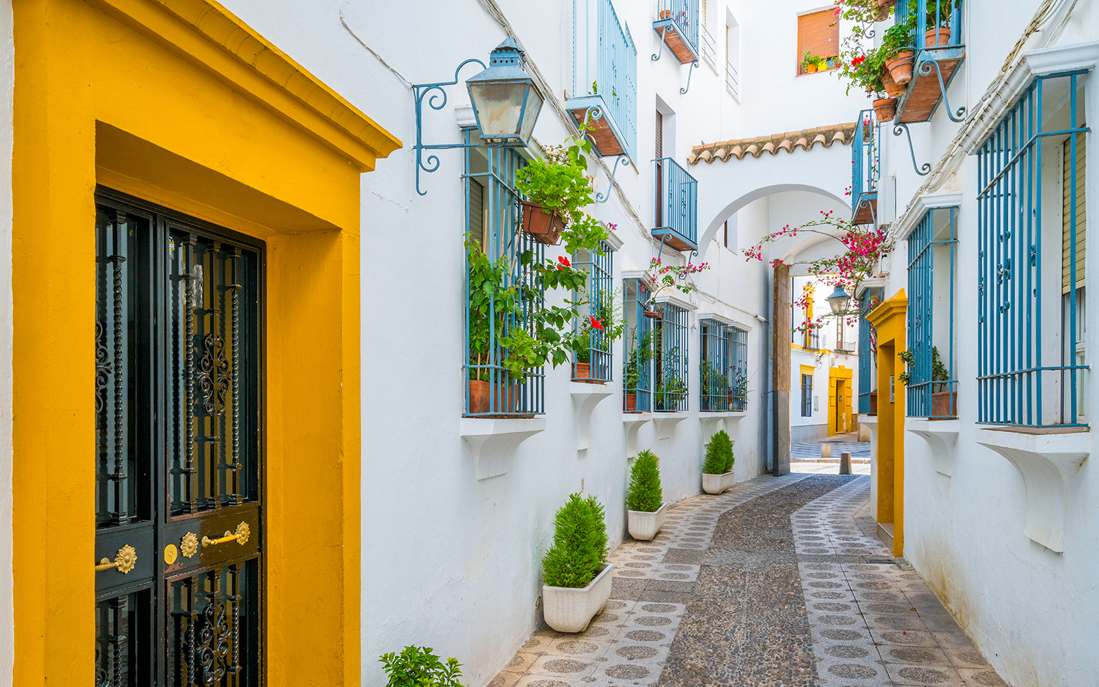 Narrow street in Cordoba's Jewish Quarter with colorful doors and potted plants.