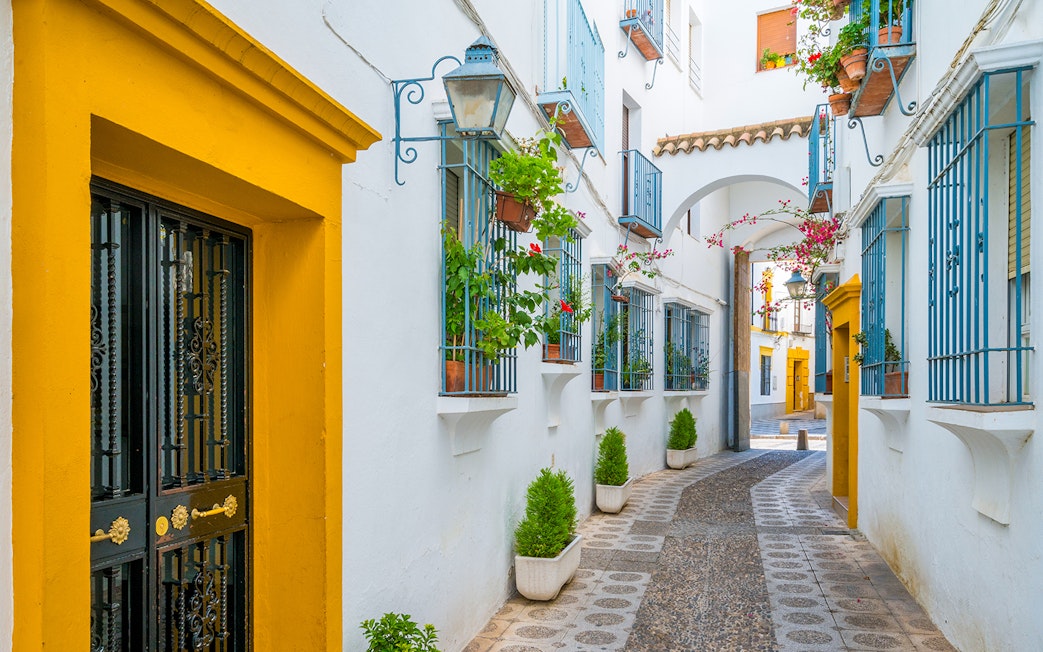 Narrow street in Cordoba's Jewish Quarter with colorful doors and potted plants.