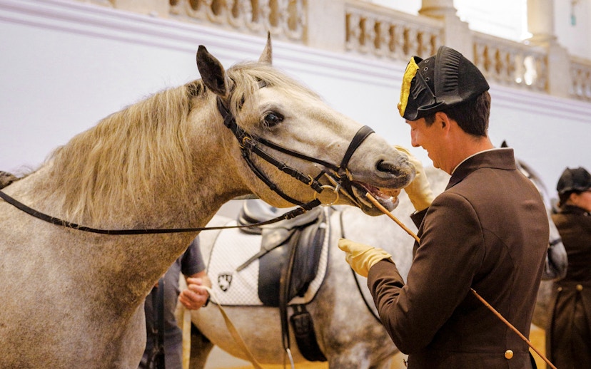 Horse training session at the Spanish Riding School, Vienna.