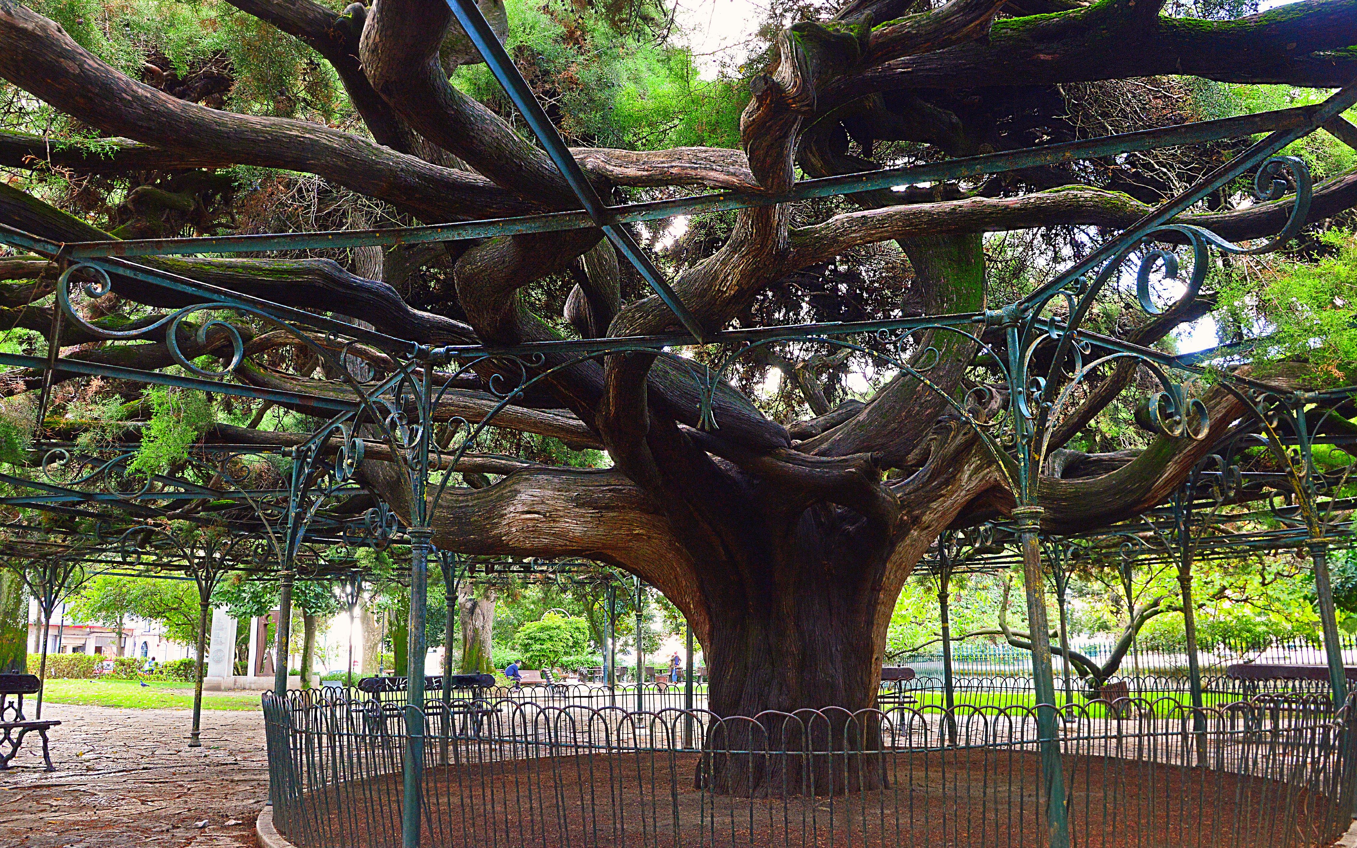 Botanische tuin van Lissabon