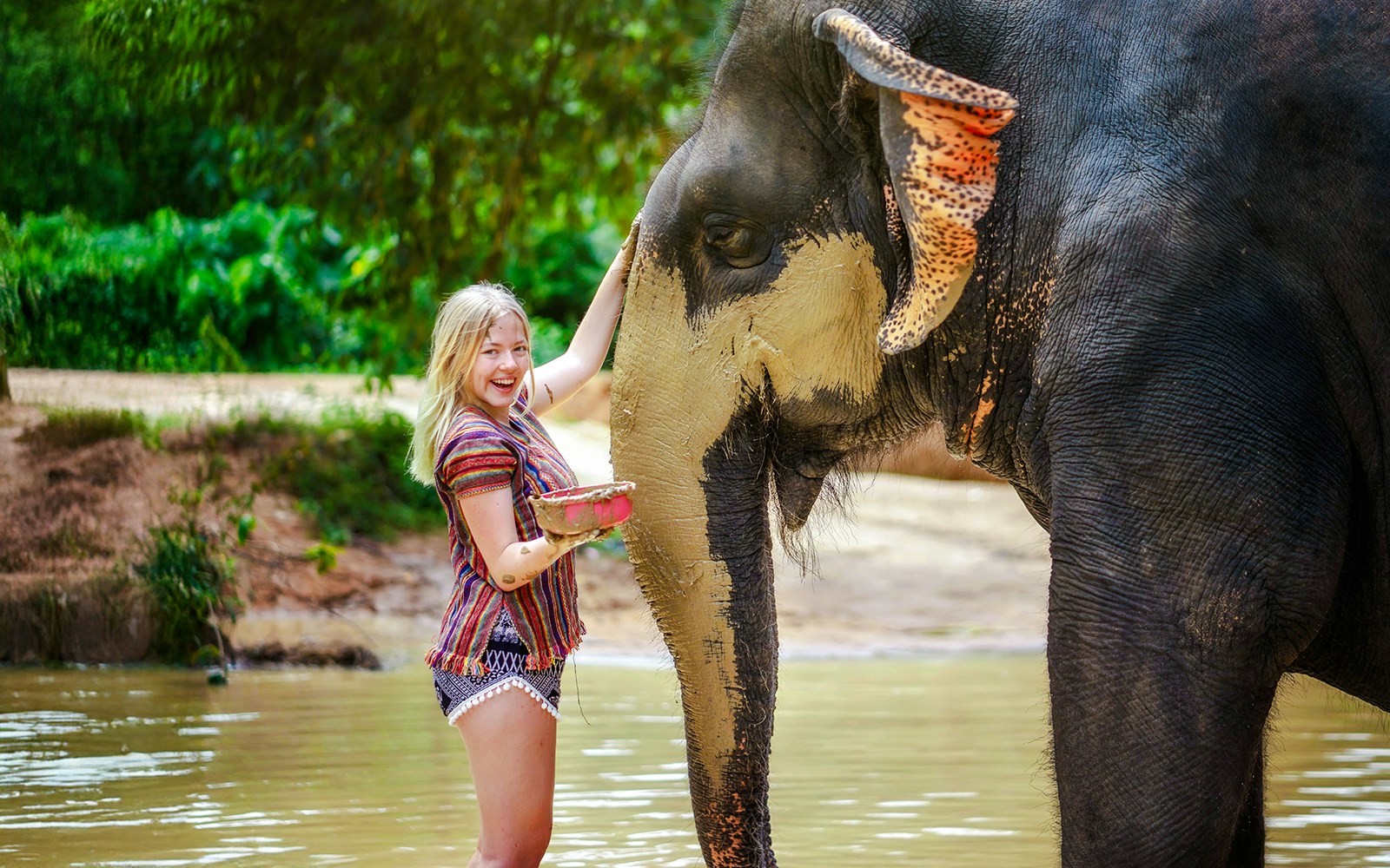 Woman applying mud to an elephant at Elephant Jungle Sanctuary, Phuket, Thailand.