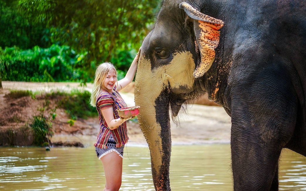Woman applying mud to an elephant at Elephant Jungle Sanctuary, Phuket, Thailand.